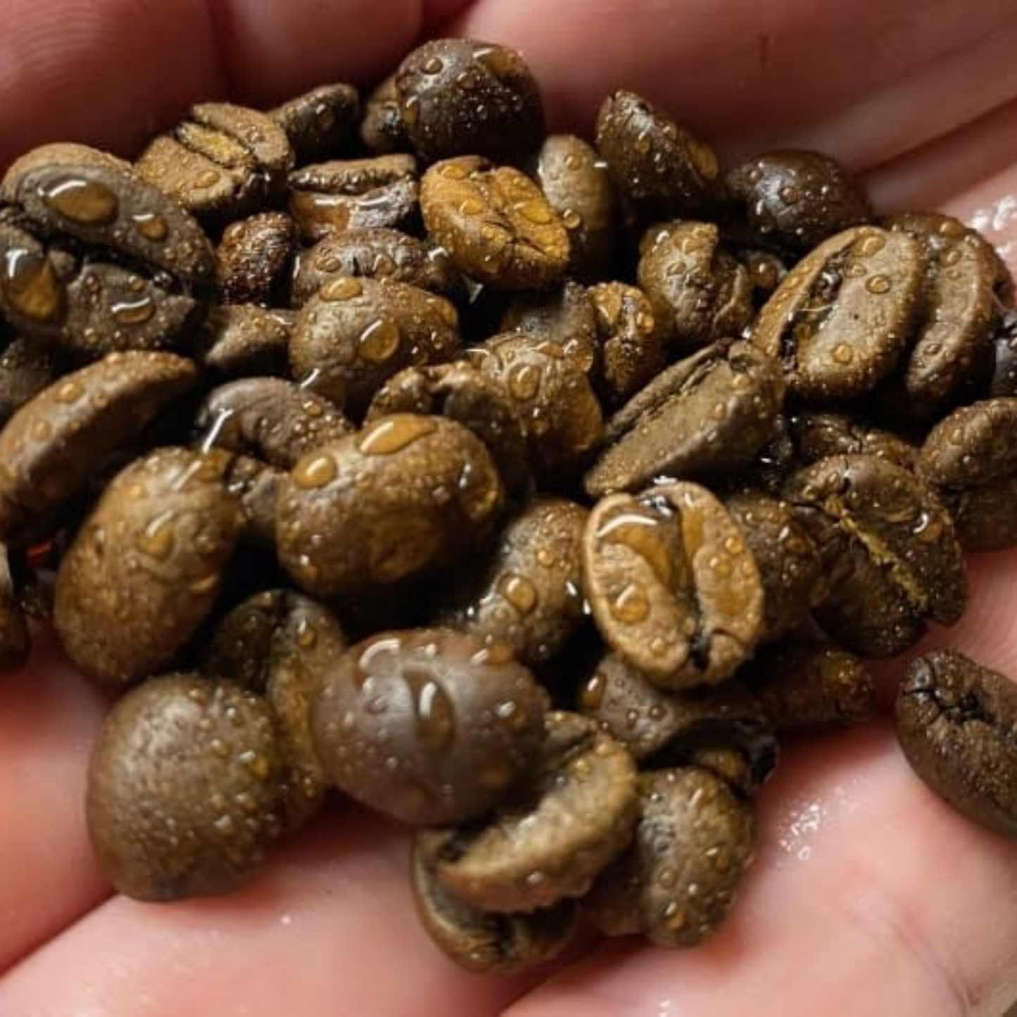 Black Airless RDT Anti-Static Spray Bottle