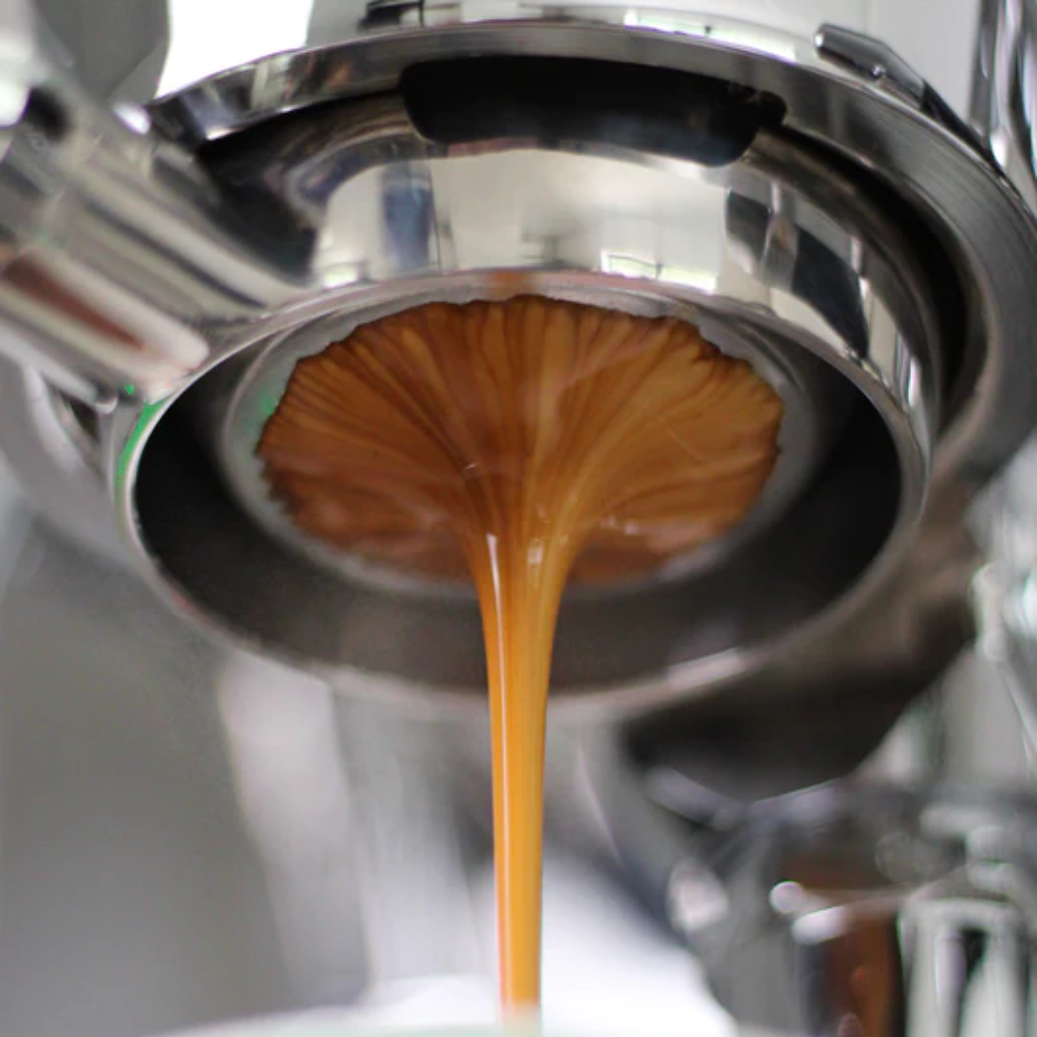 Essential Espresso Puck Screen Set