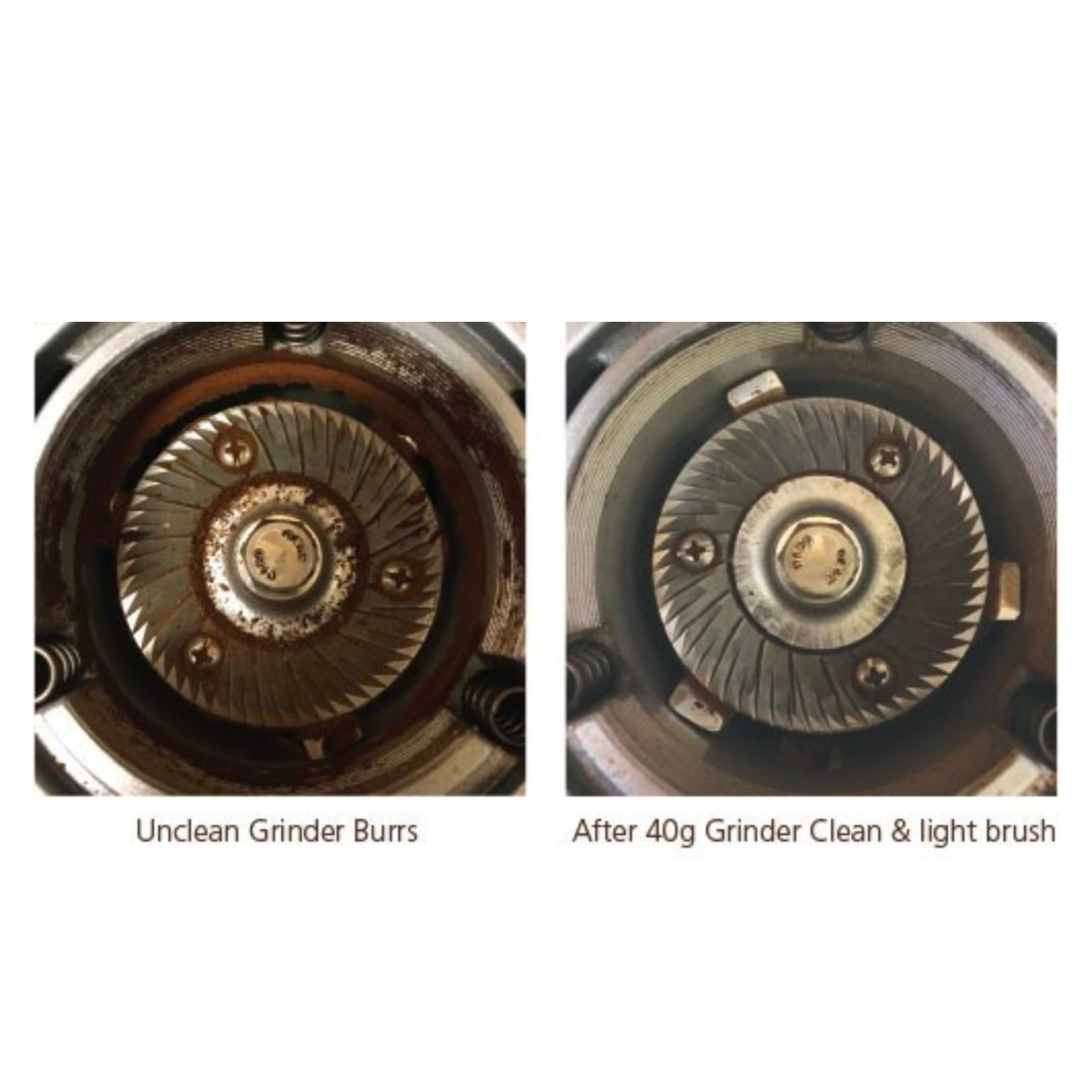 Cafetto Grinder Clean